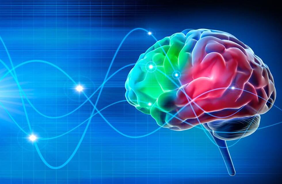 Charla sobre Neurociencia y Educación en Cresta