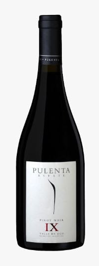 Día Internacional del Pinot Noir: descubre los maridajes ideales para este tinto elegante