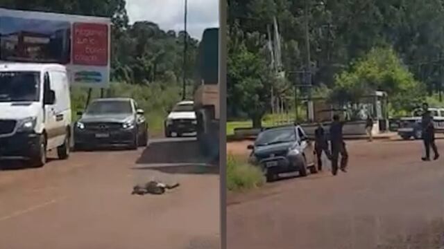 Colonia Victoria: detienen a un individuo que asesinó a un perro y luego intentó atacar a efectivos policiales con un machete.