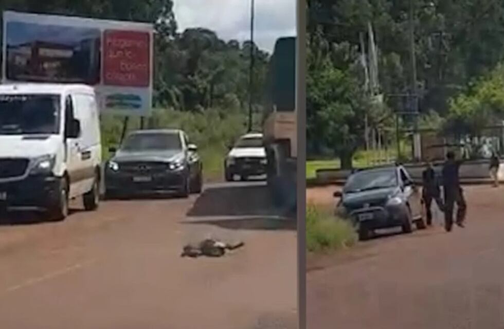 Colonia Victoria: detienen a un individuo que asesinó a un perro y luego intentó atacar a efectivos policiales con un machete
