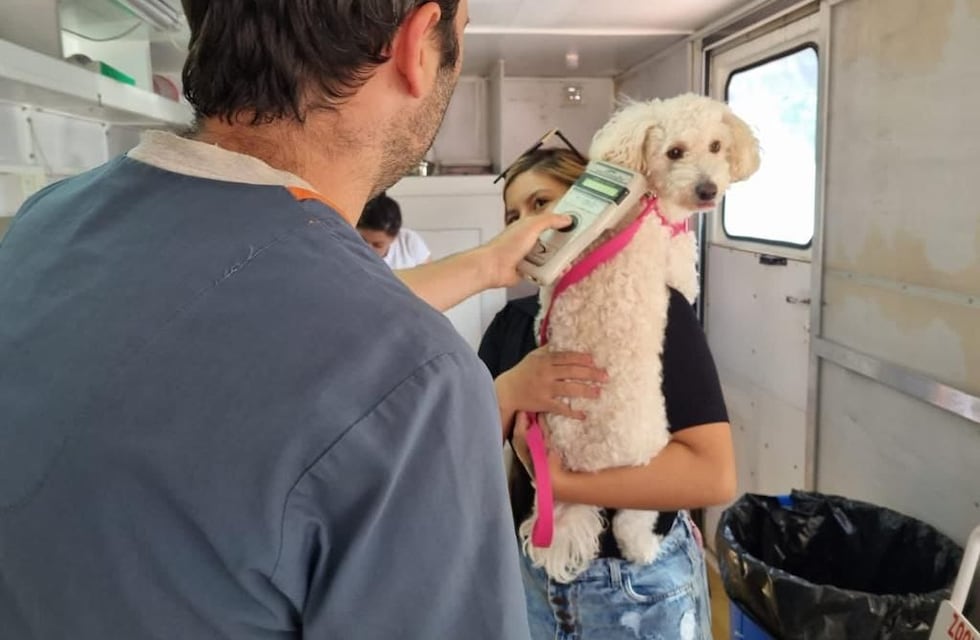 Ushuaia: el programa “Zoonosis más cerca” atendió a casi 300 animales en enero