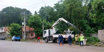 Operarios realizarán tareas de mantenimiento y renovación en el tendido eléctrico, en Jujuy.