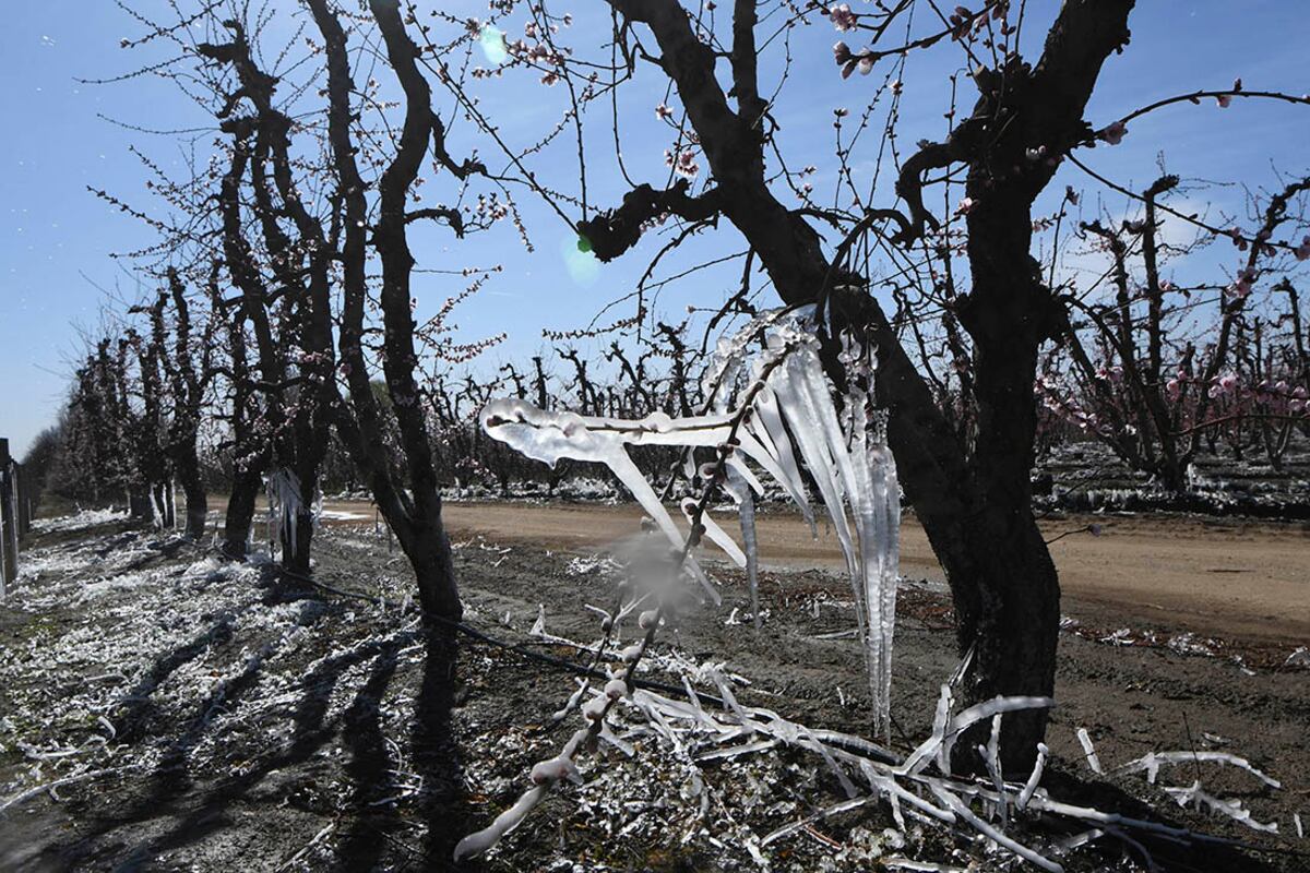 Las heladas acompañarán al tiempo bueno en el sur mendocino.