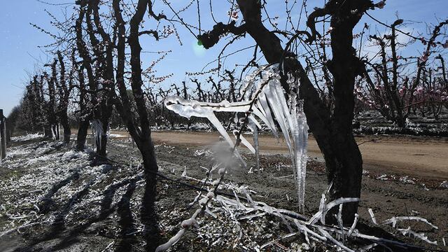 Las heladas acompañarán al tiempo bueno en el sur mendocino.