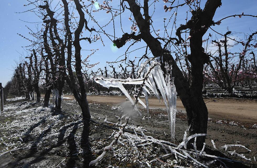 Clima en el sur mendocino: una semana con tiempo bueno y también heladas