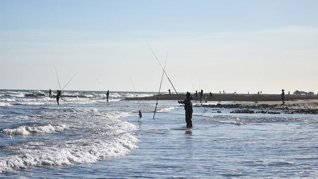 24 horas de la Corvina Negra