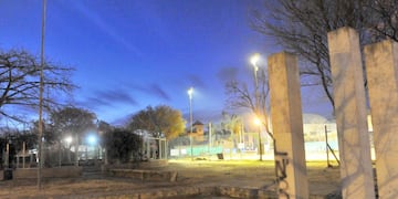 Inesperada aparición de animales exóticos en un barrio de la ciudad de Córdoba. (Sergio Cejas / Archivo)