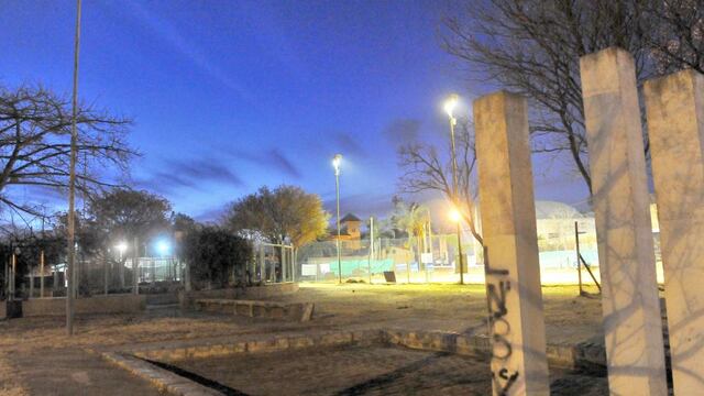 Inesperada aparición de animales exóticos en un barrio de la ciudad de Córdoba. (Sergio Cejas / Archivo)