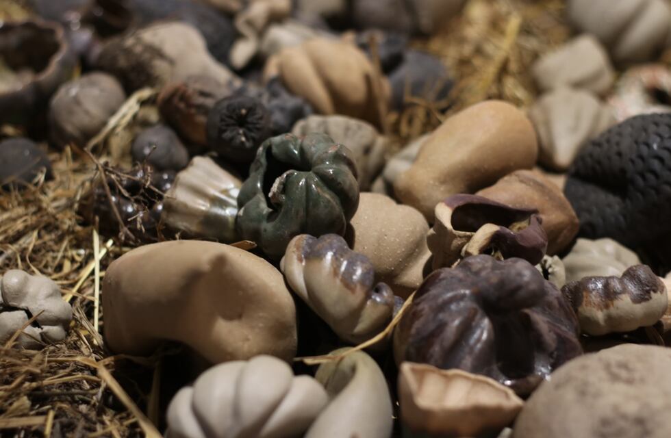 El Museo Municipal de Arte “Dr. Urbano Poggi” cierra tres muestras temporarias