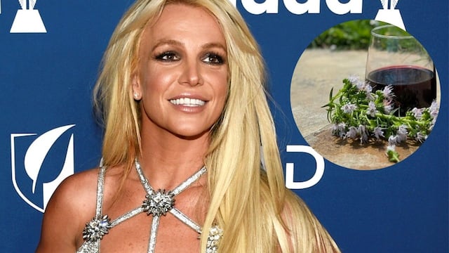 Britney Spears se declaró fan de un vino argentino: cuál probó y cuánto cuesta