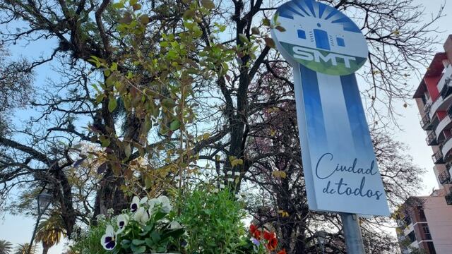 ¿Cómo funcionarán los servicios municipales el feriado del lunes?