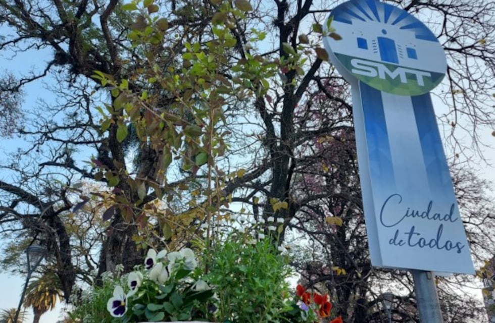 ¿Cómo funcionarán los servicios municipales el feriado del lunes?