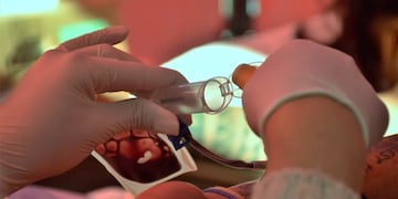 La donación de sangre es totalmente segura y no tiene consecuencias negativas en la salud de quien dona. El organismo se encarga de reponer la sangre donada y al día siguiente de la donación, se recupera los niveles normales.