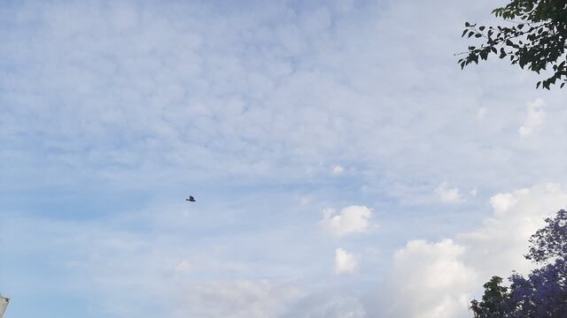 San Luis parcialmente nublado