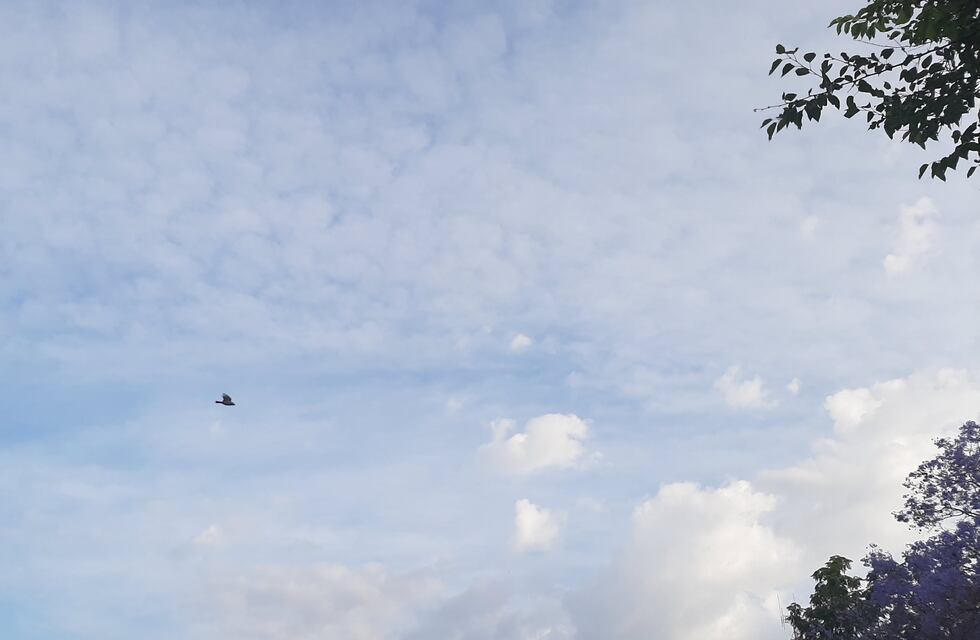Jueves ventoso y algo inestable en el norte de la provincia