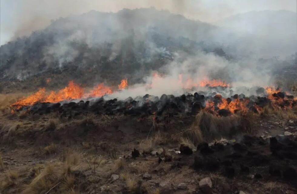 Piden donaciones para combatir los incendios en Valle Fértil