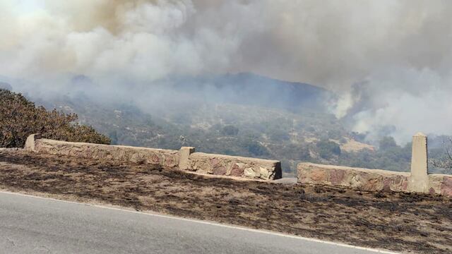 Incendio en Traslasierra. Zona de la Cuesta de Brochero. (Gentileza)