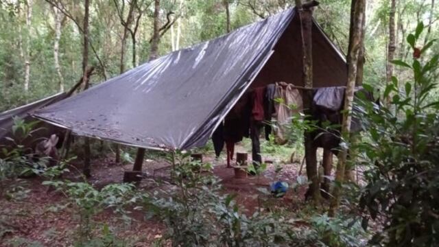 Furtivos abandonan campamento en Urugua-í: perros, armas y carne fueron secuestrados.