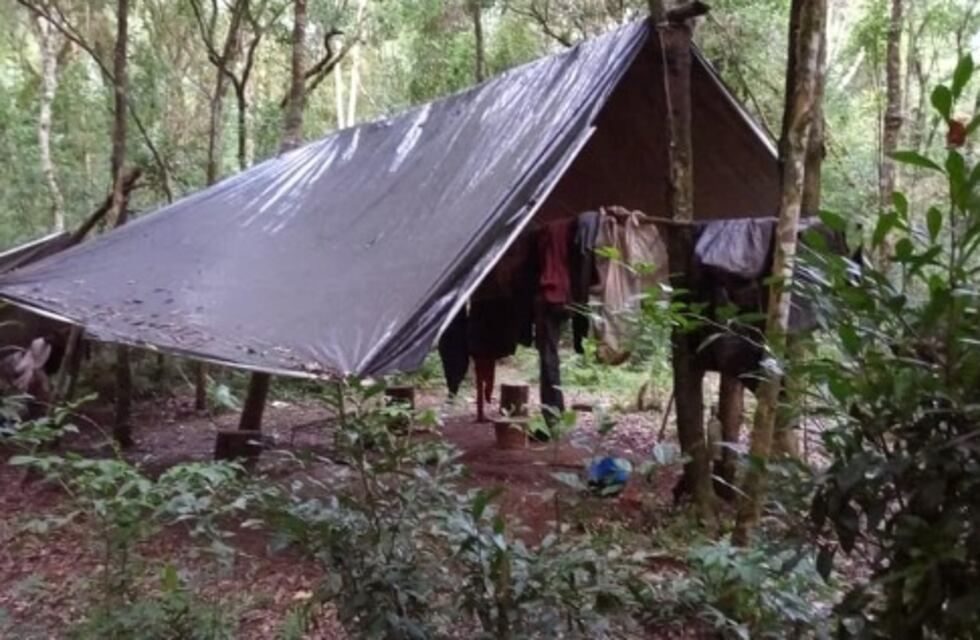 Furtivos abandonan campamento en Urugua-í: perros, armas y carne fueron secuestrados
