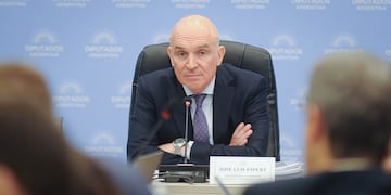 El diputado José Luis Espert en la Comisión de Presupuesto y Hacienda (Foto: Federico López Claro)