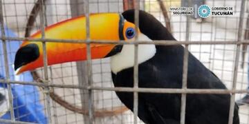 Ministerio de Seguridad de Tucumán.