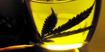 El medicamento permite tratar a personas con epilepsia refractaria y otras patologías. (Archivo/La Voz)