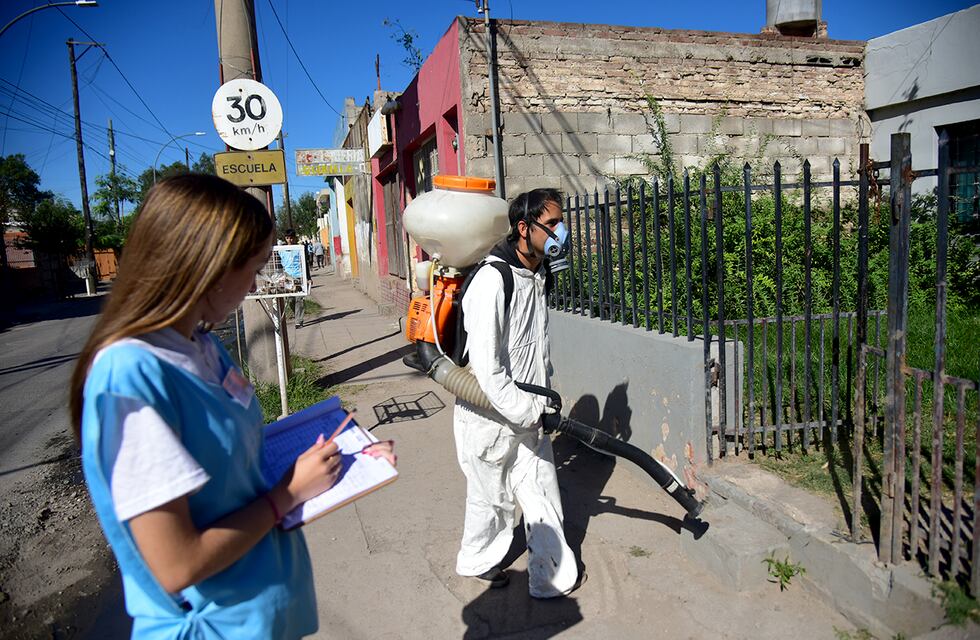 Dengue en Córdoba: los contagios volvieron a bajar, pero superan los 125 mil