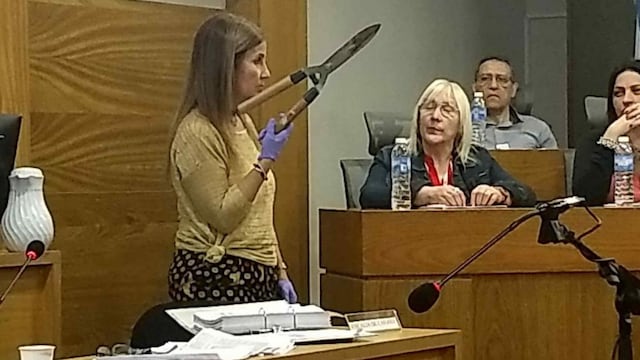 Brenda Micaela Barattini le cortó el pene a su amante en pleno encuentro íntimo. (La Voz)