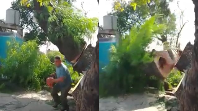 El momento en el que cae el árbol talado y provoca un desastre.