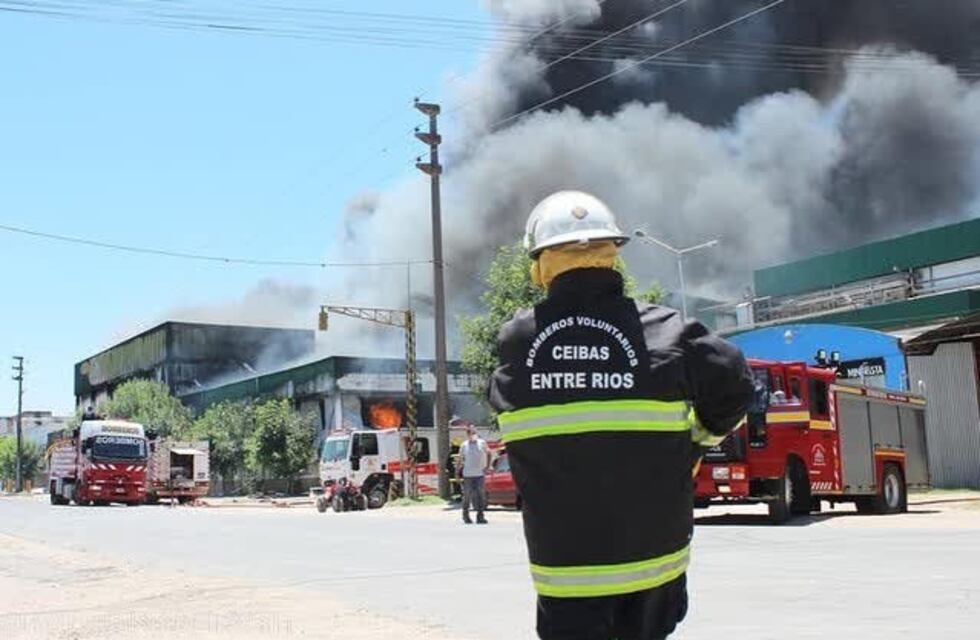 El incendio del frigorífico de Aves Soychú presentaría “destrucción total”