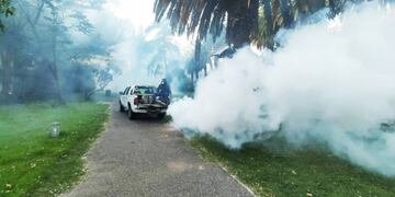 Empezó la fumigación intensa