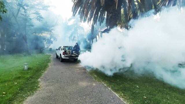 El operativo de fumigación comenzó el jueves y seguirá el fin de semana