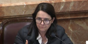 La senadora por Córdoba, Carmen Álvarez Rivero (PRO) (Captura de video).