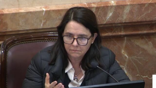 La senadora por Córdoba, Carmen Álvarez Rivero (PRO) (Captura de video).