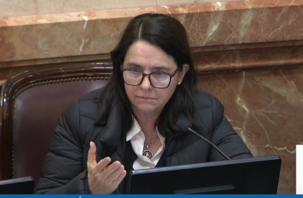 Carmen Álvarez Rivero habló de su postura sobre la atención en el Garrahan: “Que mala leche”