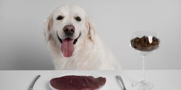 Dieta BARF para perros y gatos: qué es y en qué consiste.