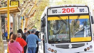 San Juan: Transporte público gratis para las Elecciones PASO 2023.