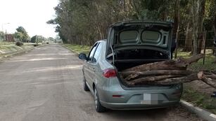 Increíble: buscó leña en el Bosquecito Besaccia