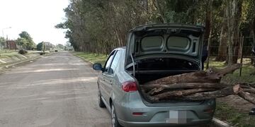 Increíble: buscó leña en el Bosquecito Besaccia