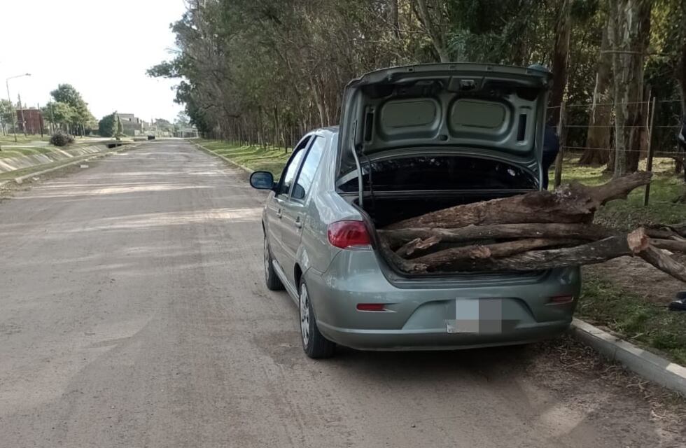Increíble: se fue a buscar leña al Bosquecito Besaccia