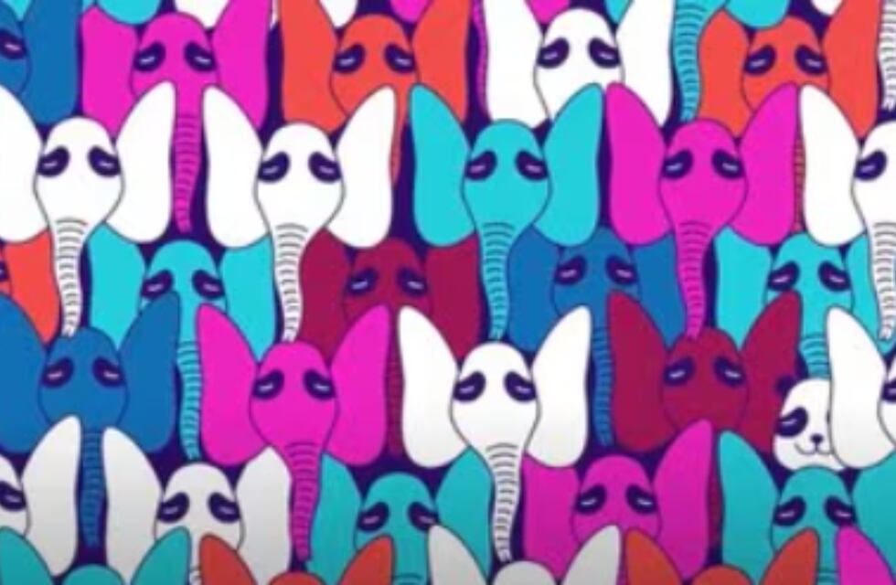 ¿Ya viste al panda? El acertijo visual que causa furor en las redes y solo el 10% de los usuarios pueden resolver en 10 segundos