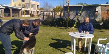 Vacunación antirrábica