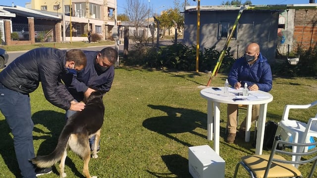 Vacunación antirrábica