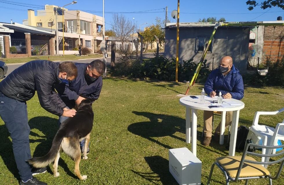 Continúa la campaña de vacunación antirrábica en la ciudad