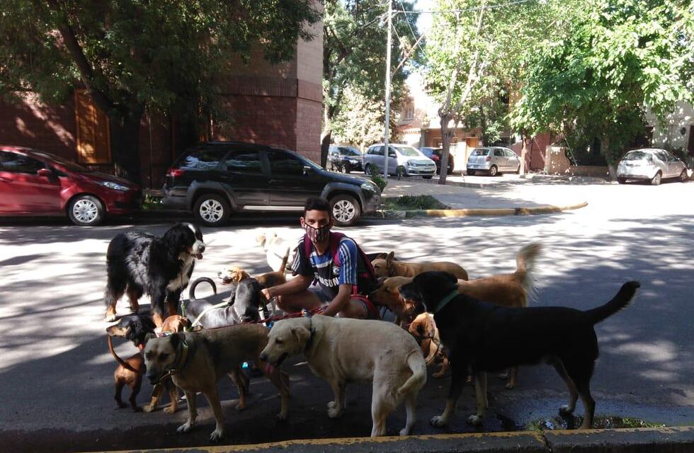 Asaltaron a Alan, el famoso paseador de perros mendocino