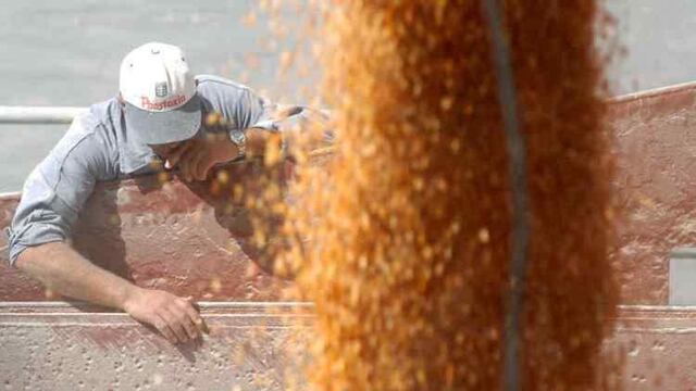 Suba de precios en los fletes de las exportaciones