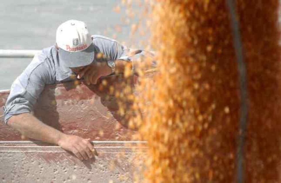 Sobrecosto en los fletes marítimos desde la Argentina