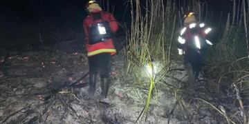 Sofocan incendio en una zona de pinar y malezas en Mártires.