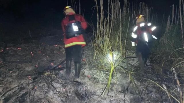 Sofocan incendio en una zona de pinar y malezas en Mártires.