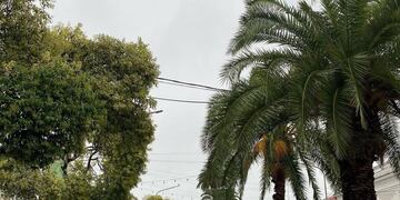 Gualeguaychú con lluvias